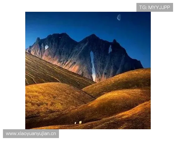 探索伟大企业家的成功之路：从初心到辉煌的成长与启示