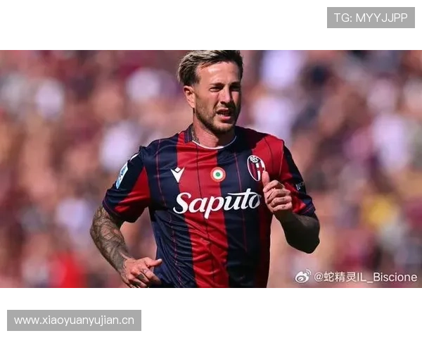 贝尔纳代斯基：征战欧战的足迹